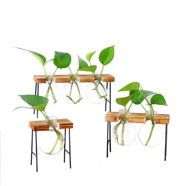 Ball Shape Glass Vase Plant Hydroponic Container Flower Bottle Table Desk Decor with Wooden Shelf Stand - #5