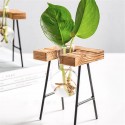 Ball Shape Glass Vase Plant Hydroponic Container Flower Bottle Table Desk Decor with Wooden Shelf Stand - #5