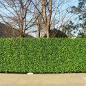 40x60cm Artificial Plant Mat Greenery Wall Hedge Grass Fence Foliage Decoration - Type A