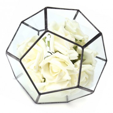 Irregular Glass Geom...