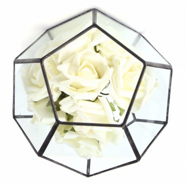 Irregular Glass Geom...