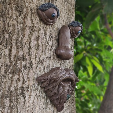 Outdoor Tree Old Man...