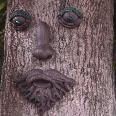 Outdoor Tree Old Man...