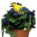 Plant Pal Soil Moisture Meter Alarm Cardinal Goldfinch Singing Voice Flower Bonsai Testing Tool - Coffee