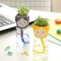 DIY Mini Doll Tail Water Absorption Potted Plant Desktop Office Decor - 04
