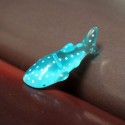 Mini Fish Whale Micro Landscape Decorations Garden DIY Decor - Blue spots flat fish