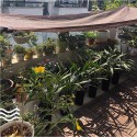 UV Block Protection Sun Shade Cloth Durable Portable Privacy Screen Fence for Balcony Backyard Garden - 0.9x1m