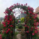 Metal Arch Wedding Party Background Stand Prom Garden Floral Decoration - Type B
