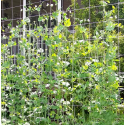 1pc Net For Climbing Plant 5*15ft, DIY Plant Support, Garden Planting Supplies