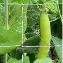 1pc Net For Climbing Plant 5*15ft, DIY Plant Support, Garden Planting Supplies