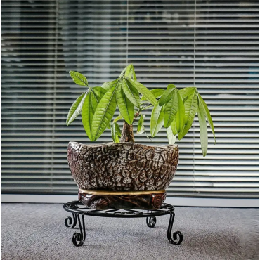 2pcs Black Plant Sta...