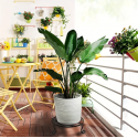 2pcs Black Plant Stand For Flower Pot Heavy Duty Potted Holder Indoor Outdoor Metal Rustproof Iron Garden Container Round Supports Rack For Planter Bronze, Pumpkin Stand Outdoor