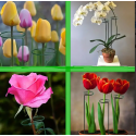 8pcs Plant Support Pile Garden Pile Plant Rod Support Cage Plant Stabilizer Hair Straightener Bracket Suitable For Outdoor Indoor Plants Tomato Peony Orchid
