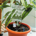 2pcs, Effortlessly Water Your Plants With Our Automatic Flower Watering Device - Perfect For Indoor And Outdoor Potted Plants