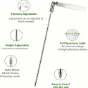 1pc, Aiwellkay Grow Lights For Indoor Plants ,Grow Healthy Indoor Plants USB Angel Ring LED Full Spectrum Plant Light , Diameter 3.5in/9cm,Height Adjustable 4 Dimmable Brightness, 4/8/12H On/Off Timer,Timed DimmingI ,Ideal For Small Plants